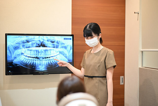 診断、カウンセリング（治療計画の決定）／約30分